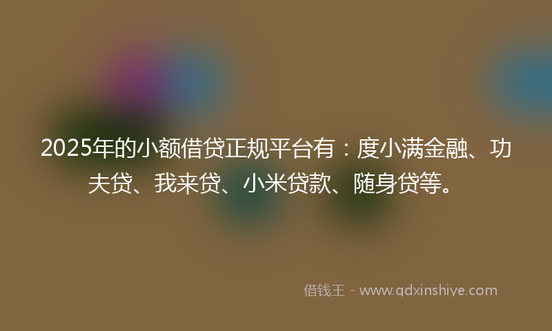 2025年的小额借贷正规平台有：度小满金融、功夫贷、我来贷、小米贷款、随身贷等。