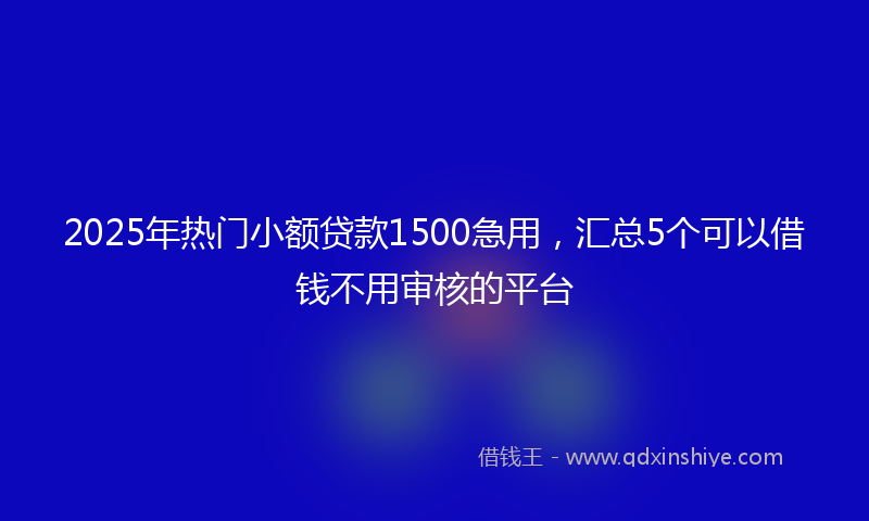 2025年热门小额贷款1500急用，汇总5个可以借钱不用审核的平台