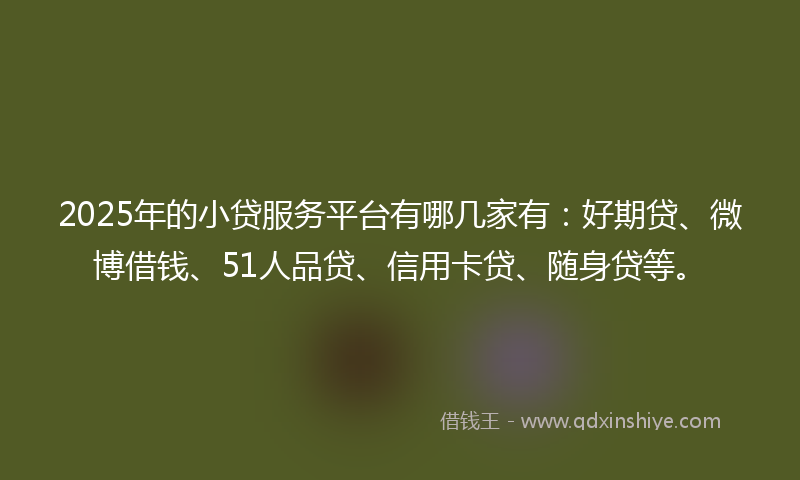 2025年的小贷服务平台有哪几家有：好期贷、微博借钱、51人品贷、信用卡贷、随身贷等。