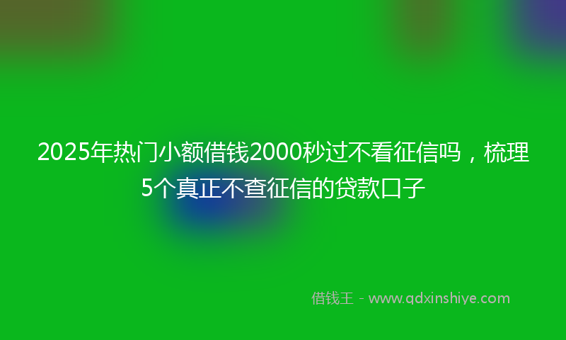 2025年热门小额借钱2000秒过不看征信吗，梳理5个真正不查征信的贷款口子