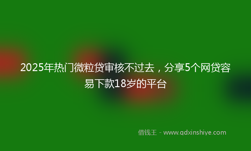 2025年热门微粒贷审核不过去，分享5个网贷容易下款18岁的平台
