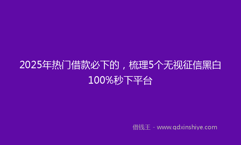 2025年热门借款必下的，梳理5个无视征信黑白100%秒下平台