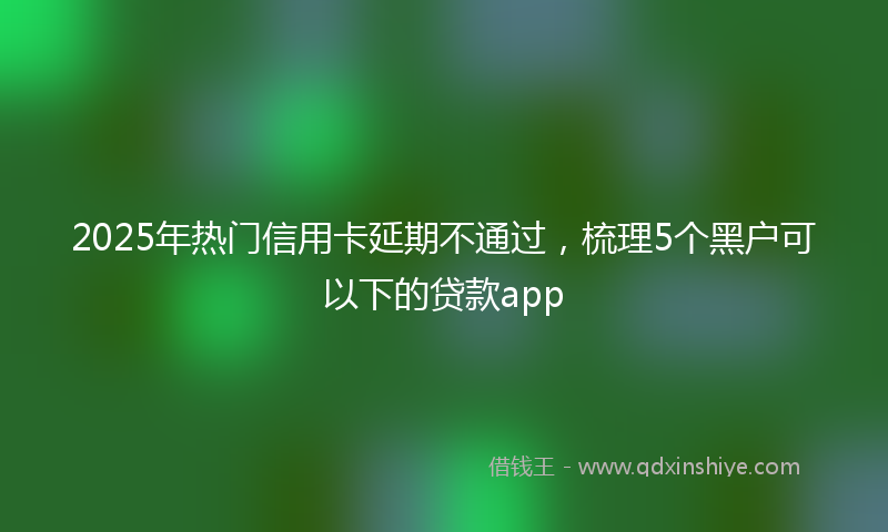 2025年热门信用卡延期不通过，梳理5个黑户可以下的贷款app