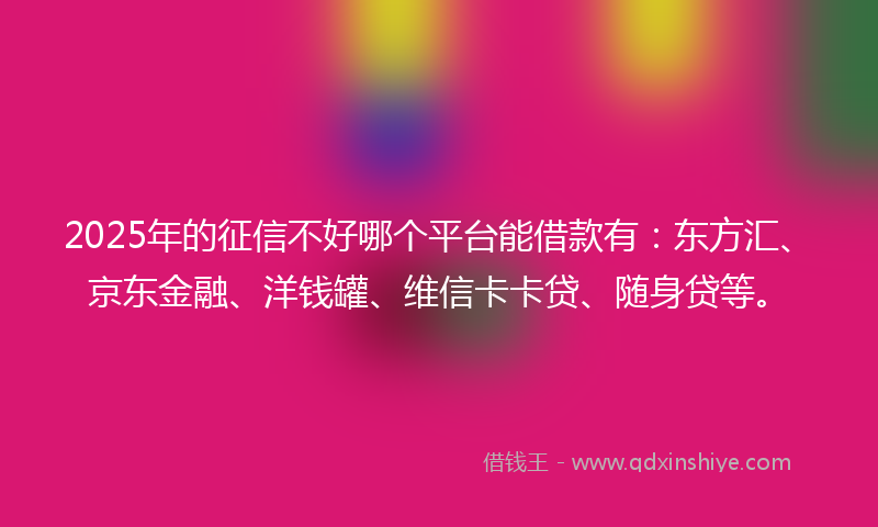 2025年的征信不好哪个平台能借款有：东方汇、京东金融、洋钱罐、维信卡卡贷、随身贷等。