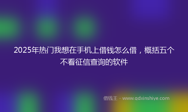 2025年热门我想在手机上借钱怎么借，概括五个不看征信查询的软件