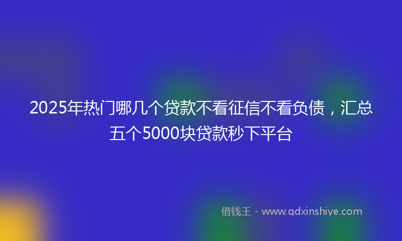 2025年热门哪几个贷款不看征信不看负债，汇总五个5000块贷款秒下平台