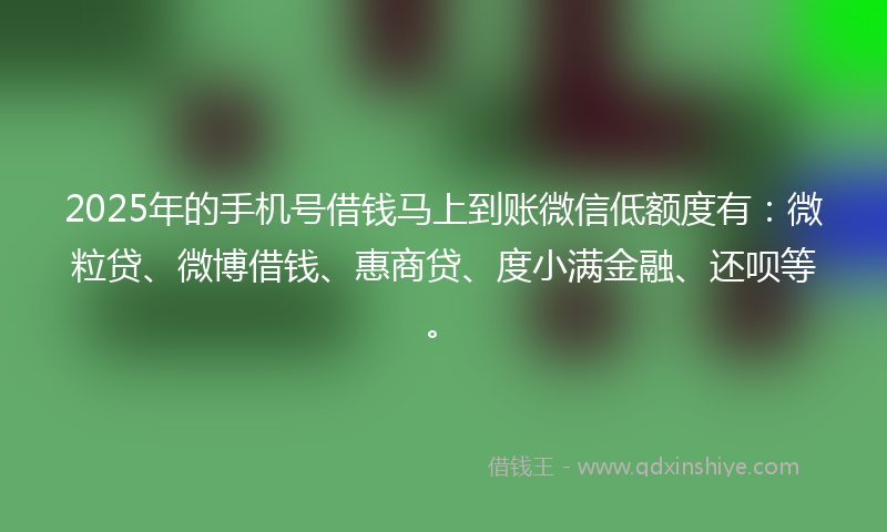 2025年的手机号借钱马上到账微信低额度有：微粒贷、微博借钱、惠商贷、度小满金融、还呗等。