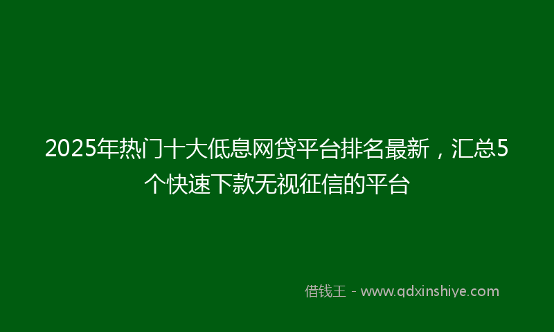 2025年热门十大低息网贷平台排名最新，汇总5个快速下款无视征信的平台