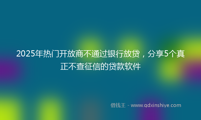 2025年热门开放商不通过银行放贷，分享5个真正不查征信的贷款软件
