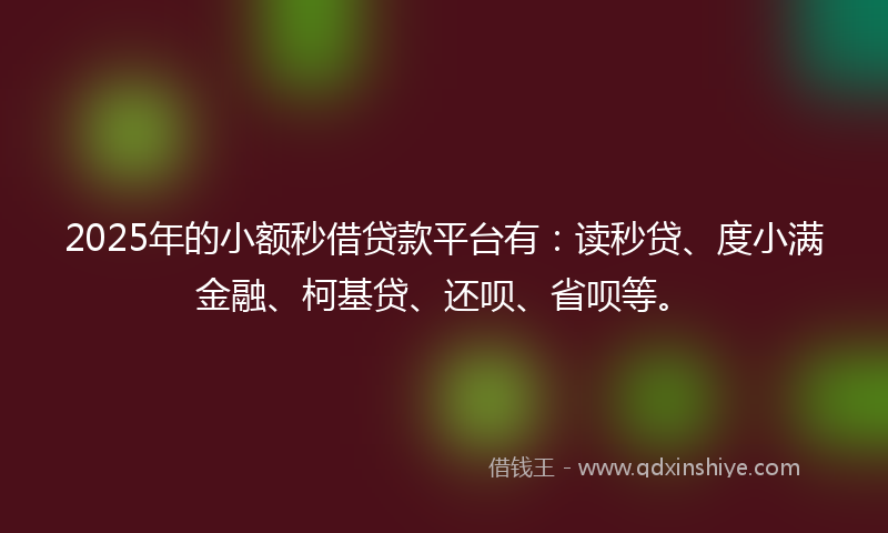 2025年的小额秒借贷款平台有：读秒贷、度小满金融、柯基贷、还呗、省呗等。