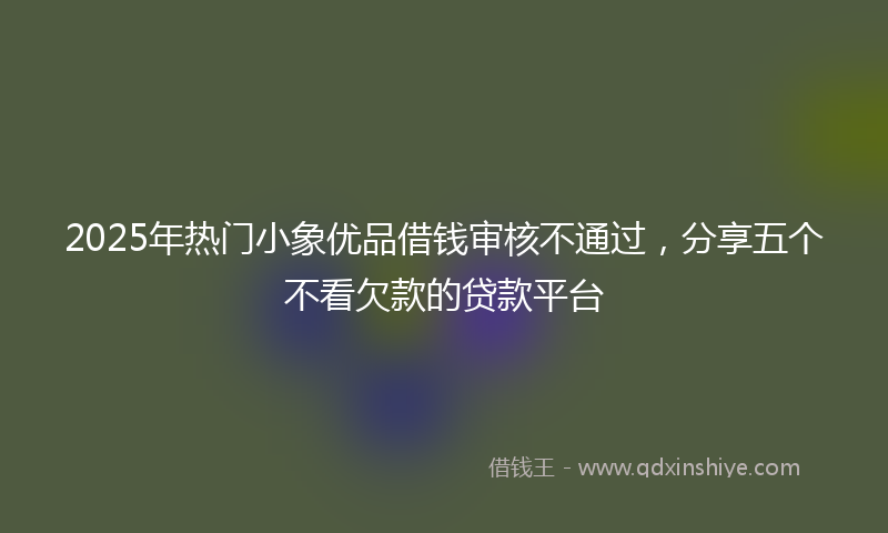 2025年热门小象优品借钱审核不通过，分享五个不看欠款的贷款平台