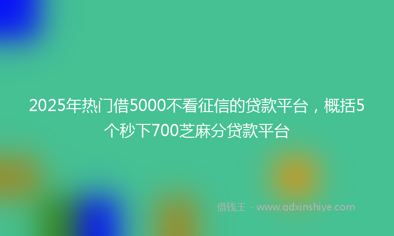2025年热门借5000不看征信的贷款平台，概括5个秒下700芝麻分贷款平台
