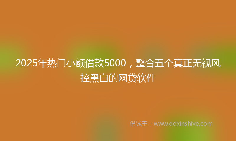 2025年热门小额借款5000，整合五个真正无视风控黑白的网贷软件