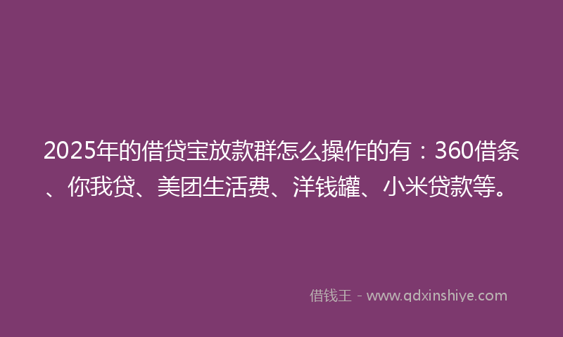 2025年的借贷宝放款群怎么操作的有：360借条、你我贷、美团生活费、洋钱罐、小米贷款等。