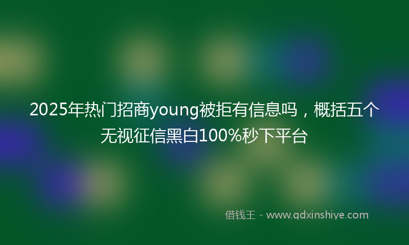 2025年热门招商young被拒有信息吗，概括五个无视征信黑白100%秒下平台