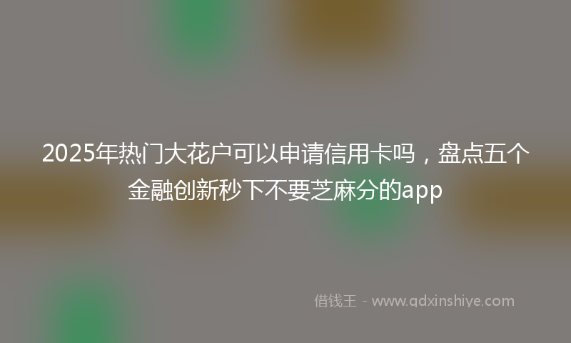 2025年热门大花户可以申请信用卡吗，盘点五个金融创新秒下不要芝麻分的app