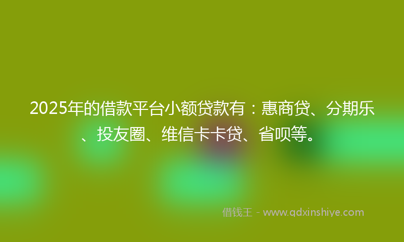2025年的借款平台小额贷款有：惠商贷、分期乐、投友圈、维信卡卡贷、省呗等。