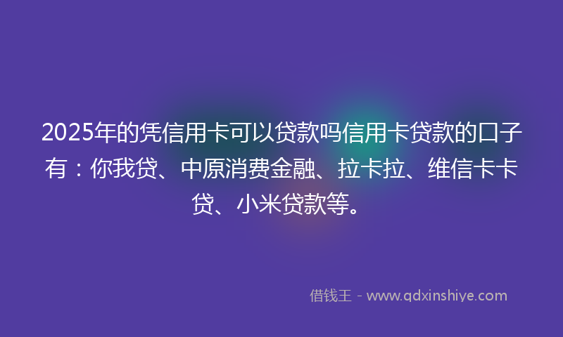 2025年的凭信用卡可以贷款吗信用卡贷款的口子有：你我贷、中原消费金融、拉卡拉、维信卡卡贷、小米贷款等。