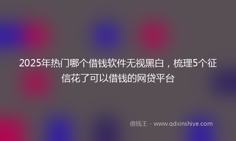 2025年热门哪个借钱软件无视黑白，梳理5个征信花了可以借钱的网贷平台