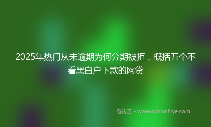 2025年热门从未逾期为何分期被拒，概括五个不看黑白户下款的网贷
