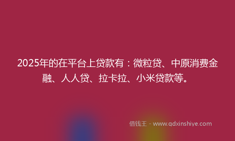2025年的在平台上贷款有：微粒贷、中原消费金融、人人贷、拉卡拉、小米贷款等。