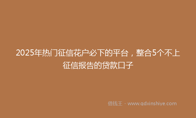 2025年热门征信花户必下的平台，整合5个不上征信报告的贷款口子