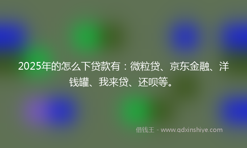2025年的怎么下贷款有：微粒贷、京东金融、洋钱罐、我来贷、还呗等。