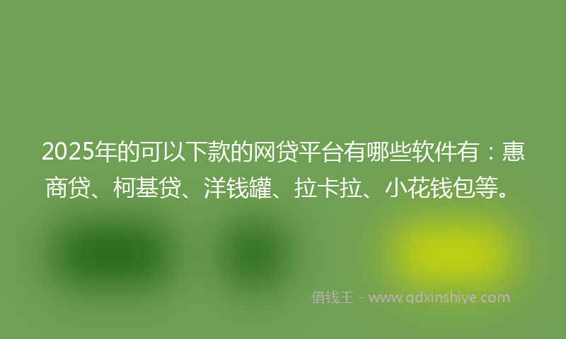 2025年的可以下款的网贷平台有哪些软件有：惠商贷、柯基贷、洋钱罐、拉卡拉、小花钱包等。