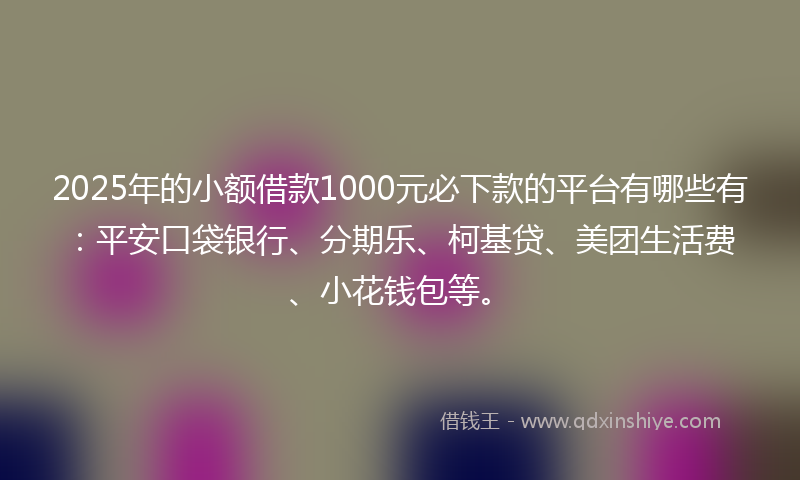 2025年的小额借款1000元必下款的平台有哪些有：平安口袋银行、分期乐、柯基贷、美团生活费、小花钱包等。
