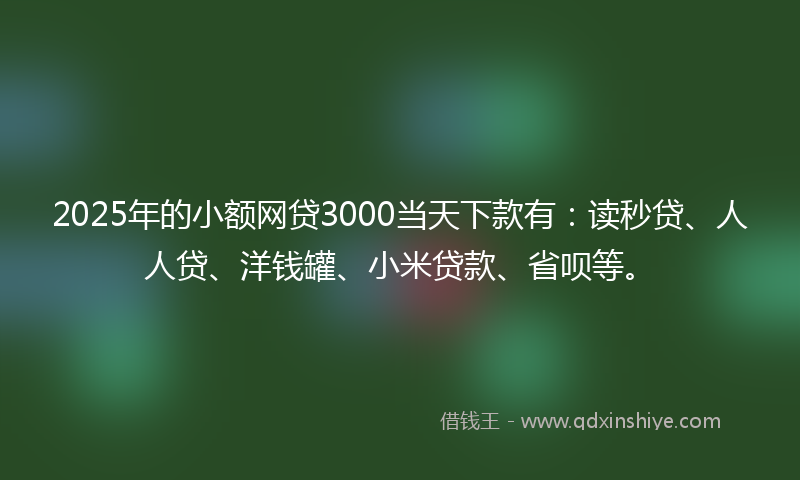 2025年的小额网贷3000当天下款有：读秒贷、人人贷、洋钱罐、小米贷款、省呗等。