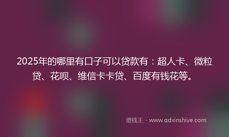 2025年的哪里有口子可以贷款有：超人卡、微粒贷、花呗、维信卡卡贷、百度有钱花等。