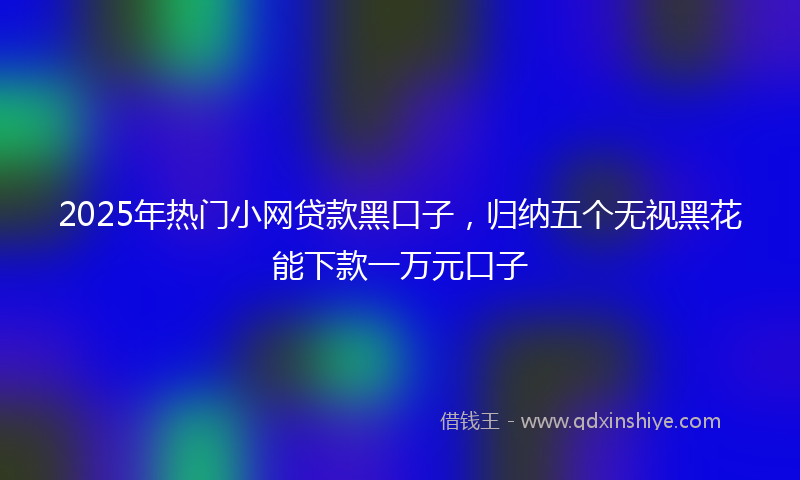 2025年热门小网贷款黑口子，归纳五个无视黑花能下款一万元口子