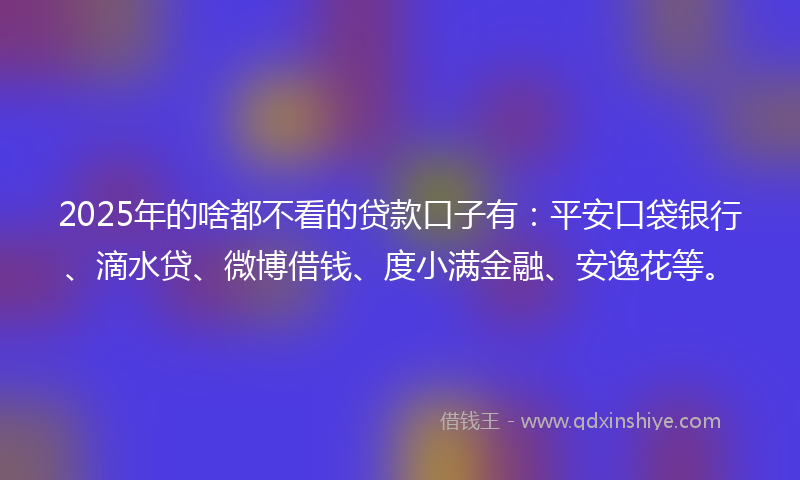 2025年的啥都不看的贷款口子有：平安口袋银行、滴水贷、微博借钱、度小满金融、安逸花等。