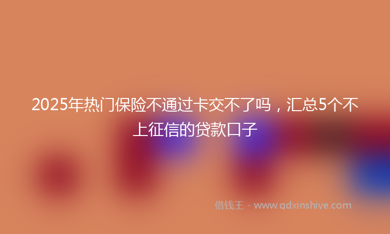 2025年热门保险不通过卡交不了吗，汇总5个不上征信的贷款口子