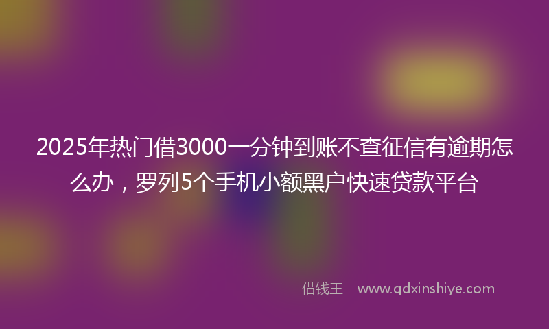 2025年热门借3000一分钟到账不查征信有逾期怎么办，罗列5个手机小额黑户快速贷款平台