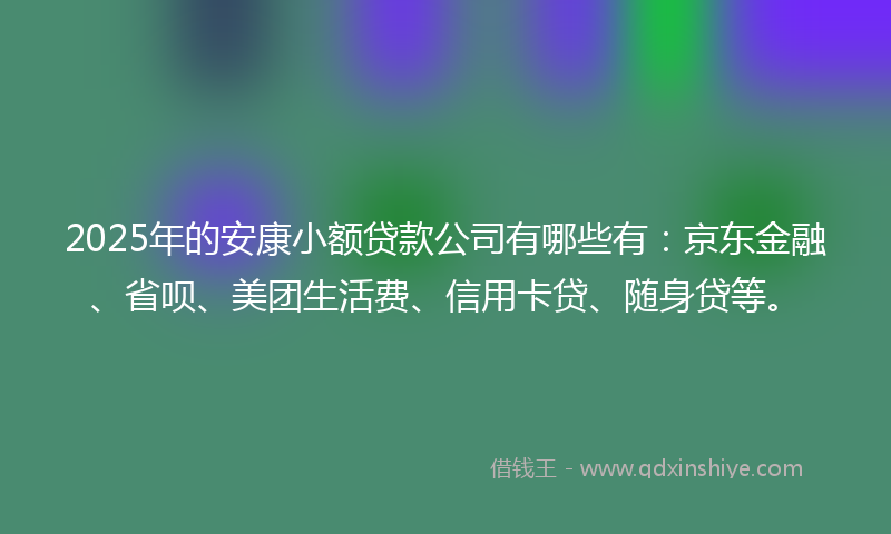 2025年的安康小额贷款公司有哪些有：京东金融、省呗、美团生活费、信用卡贷、随身贷等。