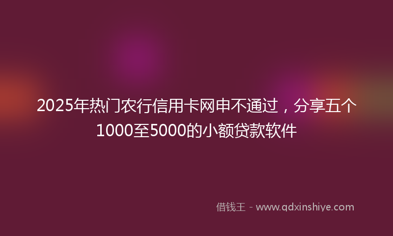 2025年热门农行信用卡网申不通过，分享五个1000至5000的小额贷款软件