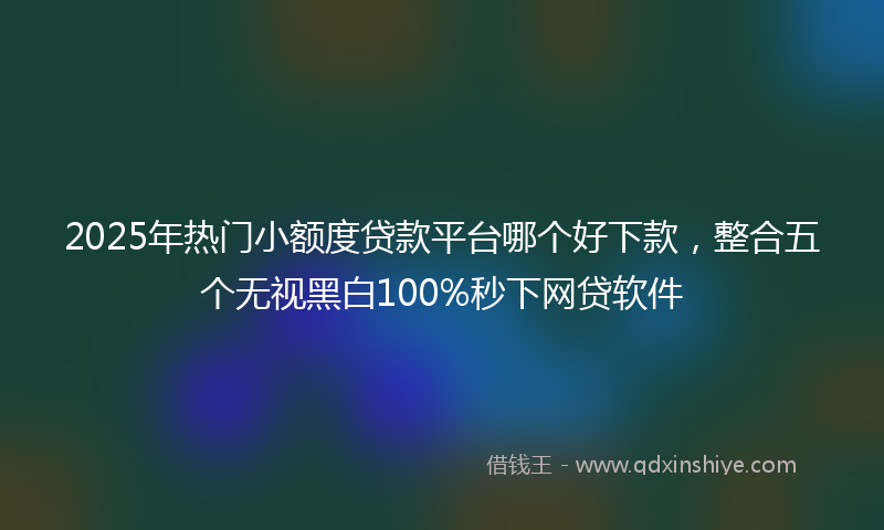 2025年热门小额度贷款平台哪个好下款，整合五个无视黑白100%秒下网贷软件