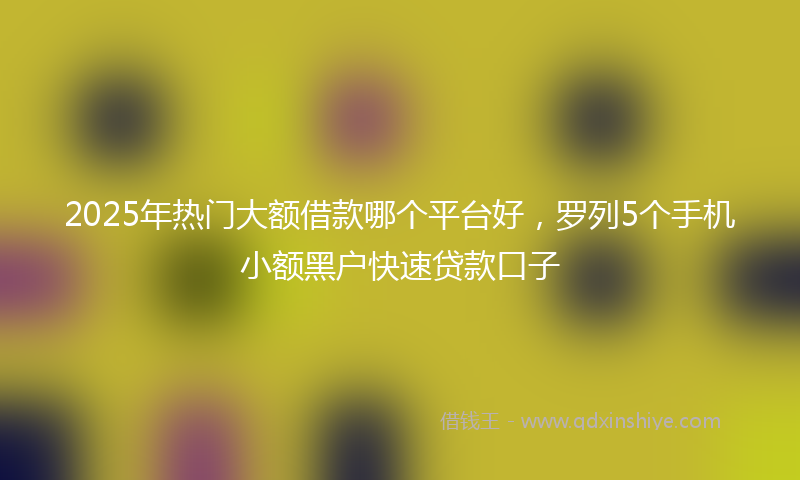 2025年热门大额借款哪个平台好，罗列5个手机小额黑户快速贷款口子