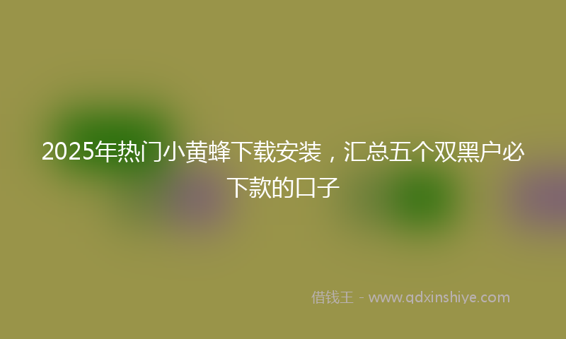 2025年热门小黄蜂下载安装，汇总五个双黑户必下款的口子