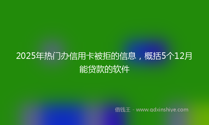2025年热门办信用卡被拒的信息，概括5个12月能贷款的软件