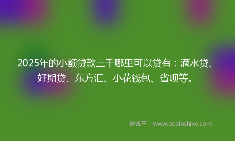 2025年的小额贷款三千哪里可以贷有：滴水贷、好期贷、东方汇、小花钱包、省呗等。