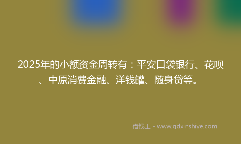 2025年的小额资金周转有：平安口袋银行、花呗、中原消费金融、洋钱罐、随身贷等。