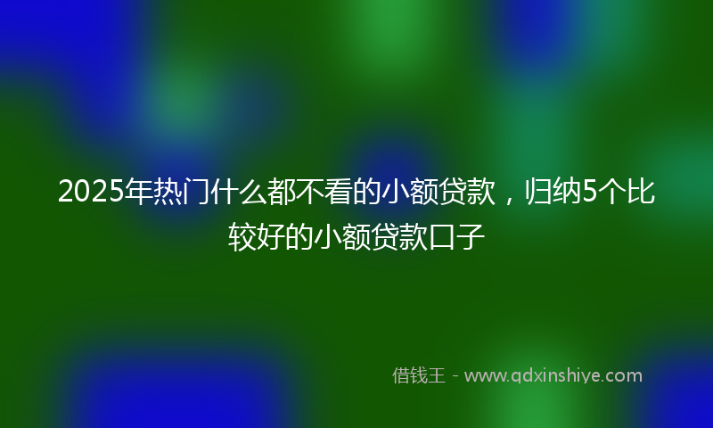 2025年热门什么都不看的小额贷款，归纳5个比较好的小额贷款口子