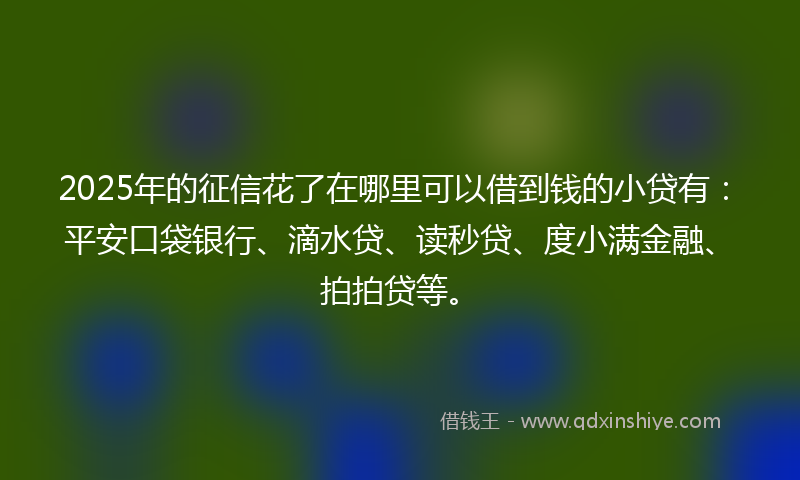 2025年的征信花了在哪里可以借到钱的小贷有：平安口袋银行、滴水贷、读秒贷、度小满金融、拍拍贷等。