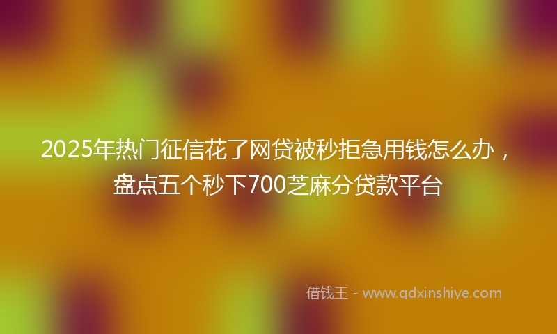 2025年热门征信花了网贷被秒拒急用钱怎么办，盘点五个秒下700芝麻分贷款平台