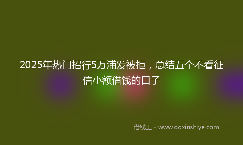 2025年热门招行5万浦发被拒，总结五个不看征信小额借钱的口子
