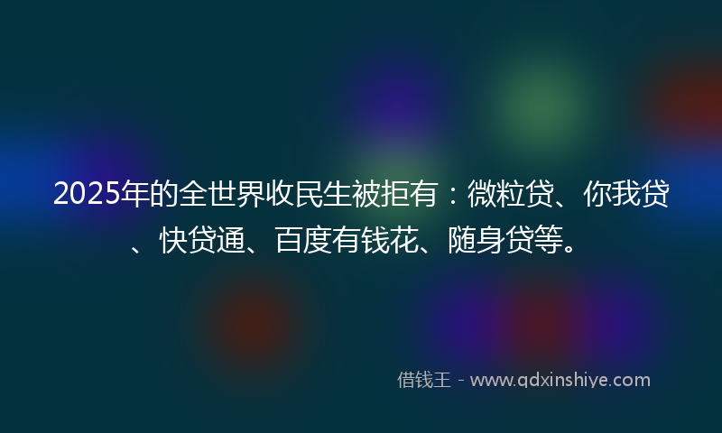 2025年的全世界收民生被拒有：微粒贷、你我贷、快贷通、百度有钱花、随身贷等。