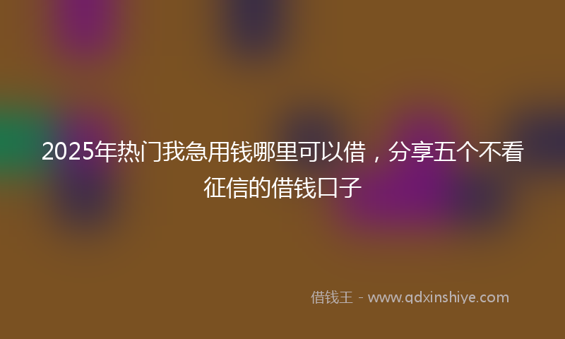 2025年热门我急用钱哪里可以借，分享五个不看征信的借钱口子