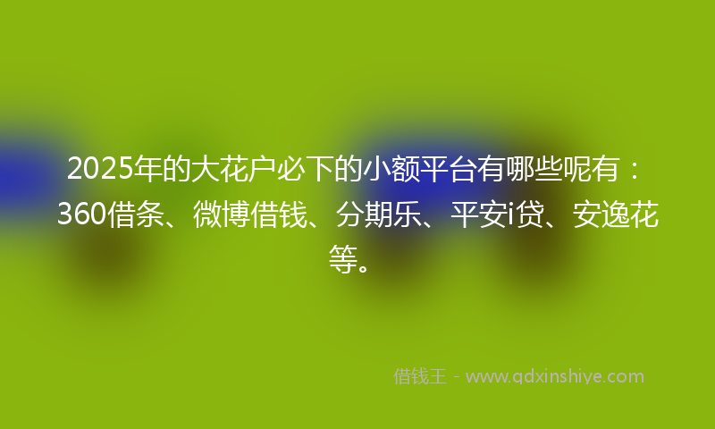 2025年的大花户必下的小额平台有哪些呢有：360借条、微博借钱、分期乐、平安i贷、安逸花等。